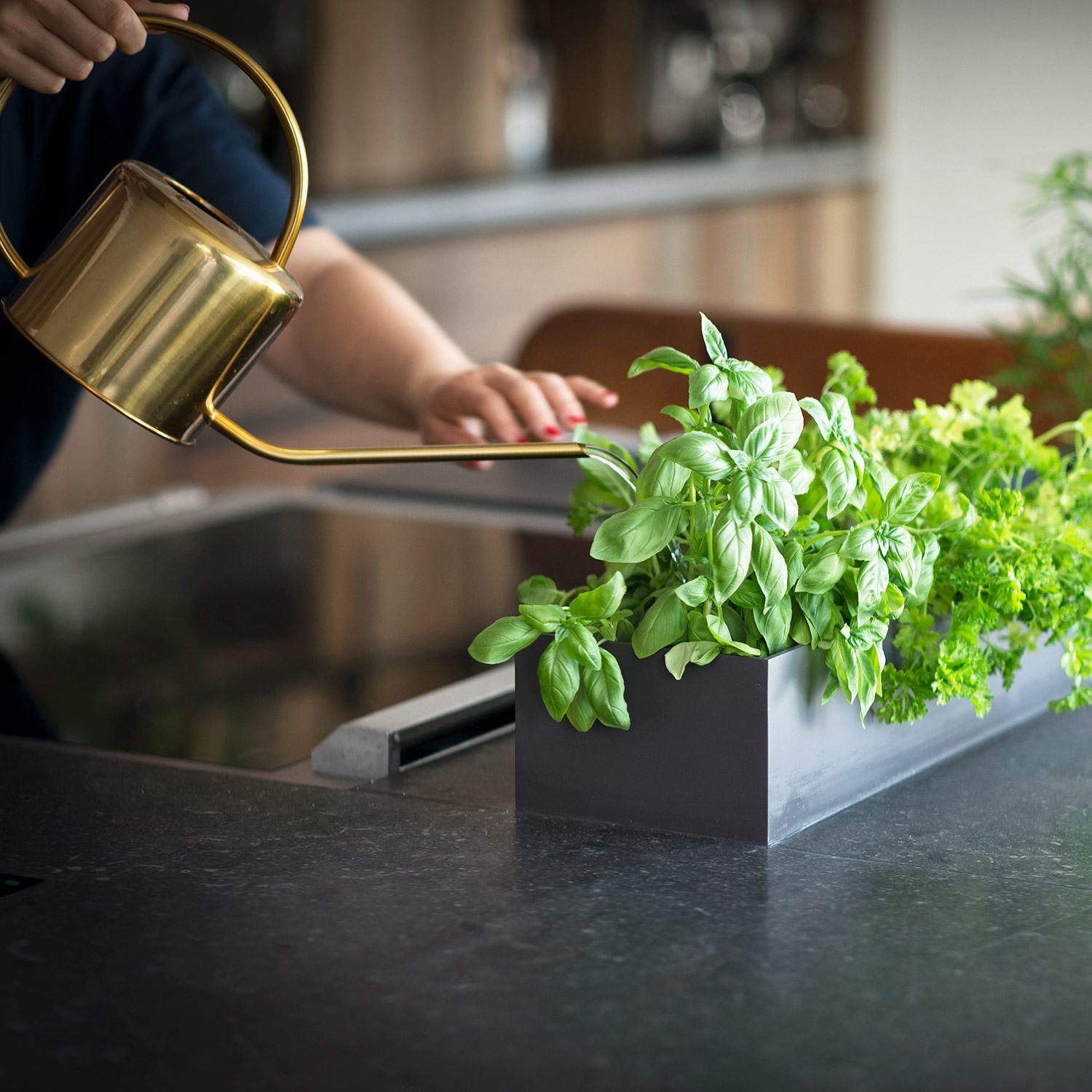 keuken kruidenbak